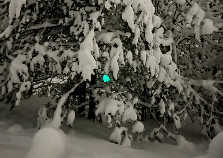 I played my first (snow) glow round and I loved it