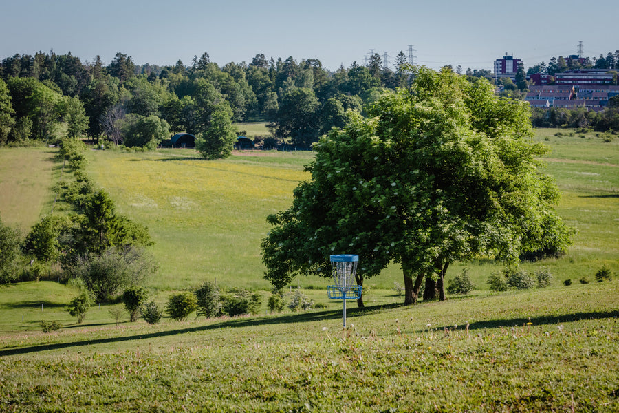 Sweden, Europe's number 1 in PDGA active players! Interview with Michael Bui